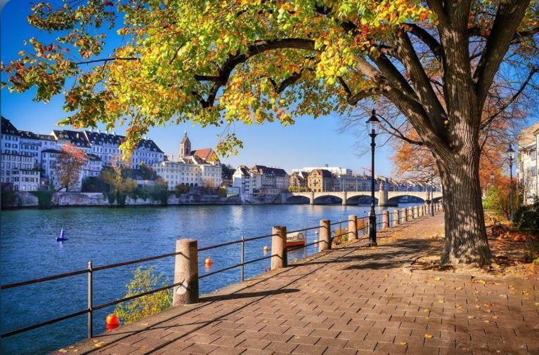 Schweiz Leilighet Basel Eksteriør bilde